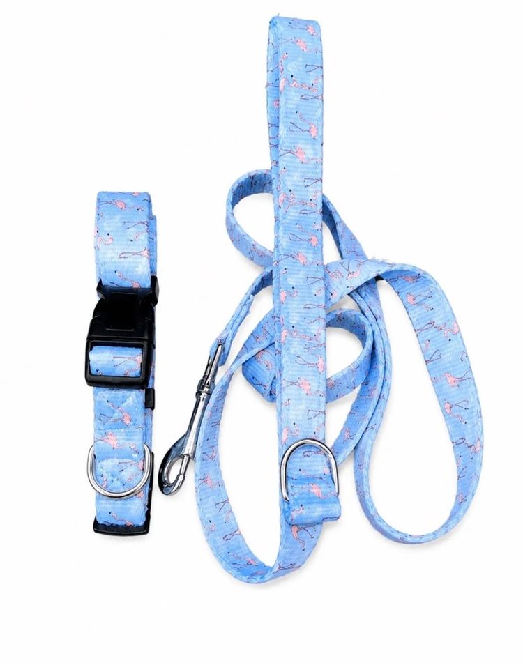 Light Blue Adjustable Dog Collar and Leash Set with Flamingo Pattern