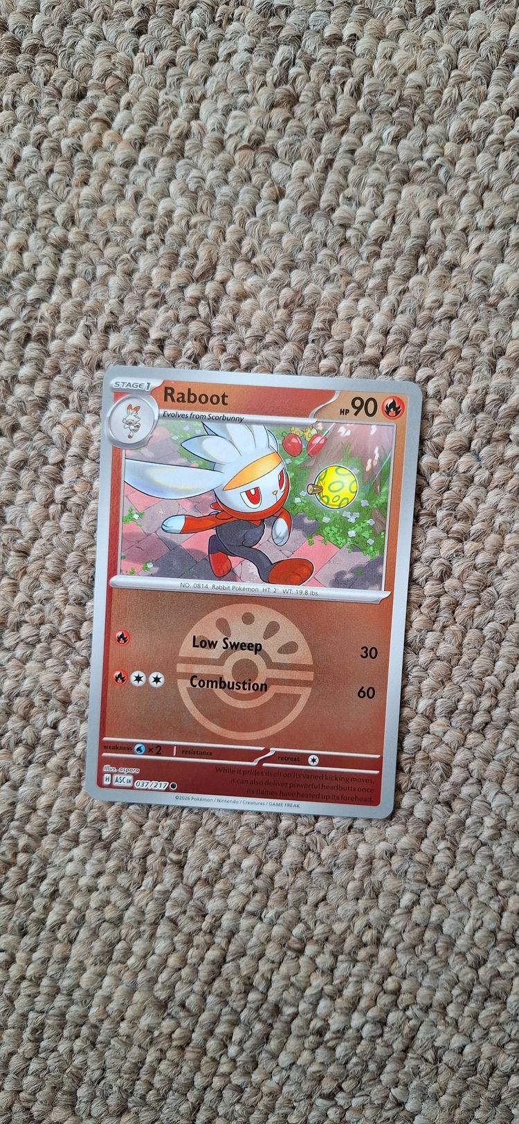 Pokémon Raboot Pokémon Card product image