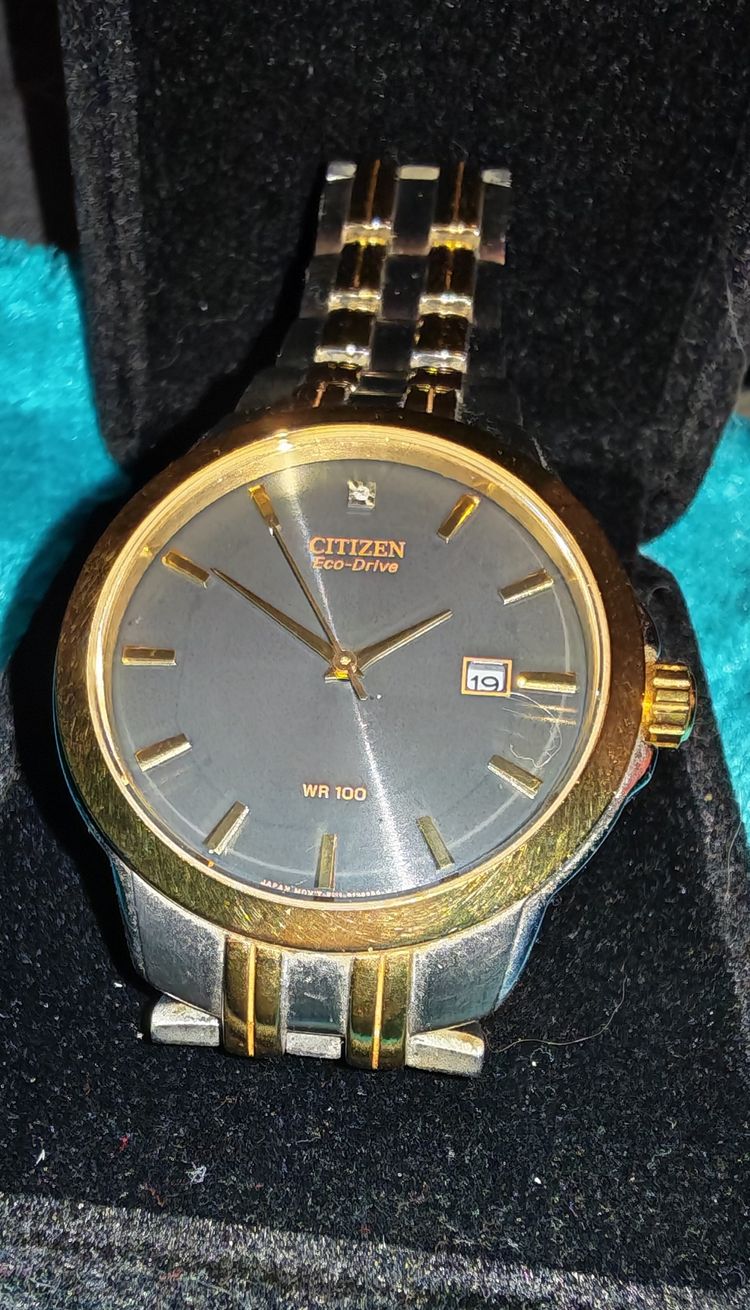 Citizen Eco-Drive Wristwatch 4