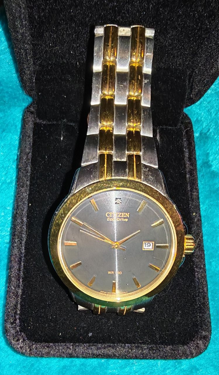 Citizen Eco-Drive Wristwatch 2