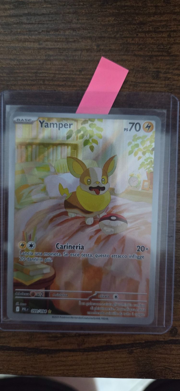 Pokémon Yamper Pokémon Card product image