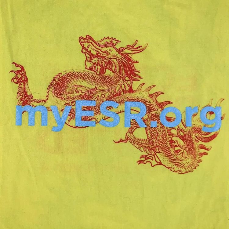 * DRAGON PRINT YELLOW TOTE BAG  * image 3