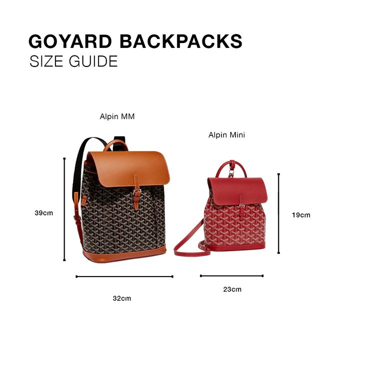 Goyard Alpin MM Backpack Black image 2