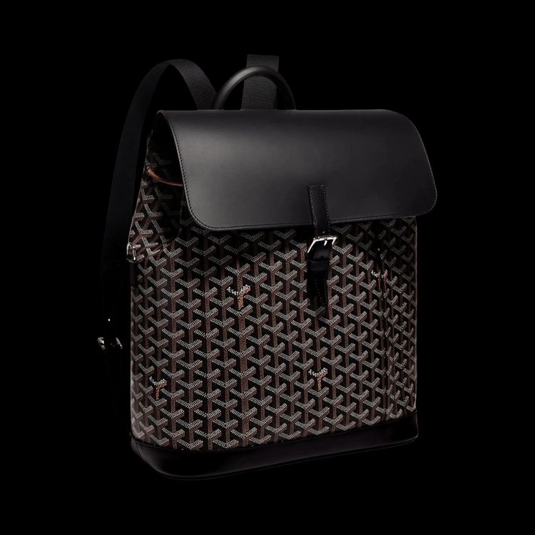 Goyard Alpin MM Backpack Black image 1