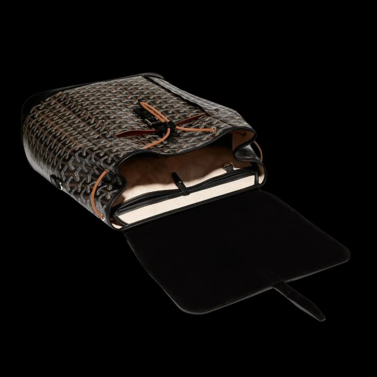 Goyard Alpin MM Backpack Black image 5