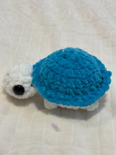 Blue And White Plush Turtle Toy