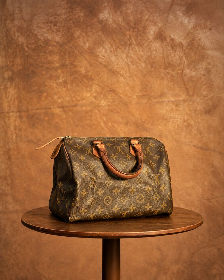 Louis Vuitton Speedy 25 Monogram Handbag