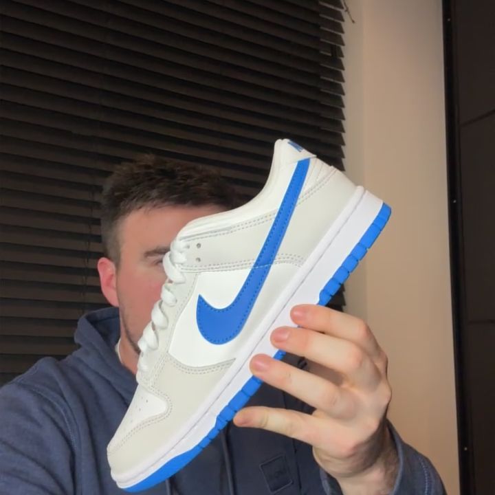 Nike Nike Dunk 6 product image