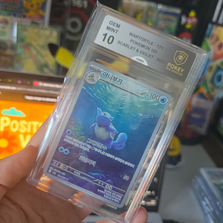 💧Wartortle 151 POKEY 10💧