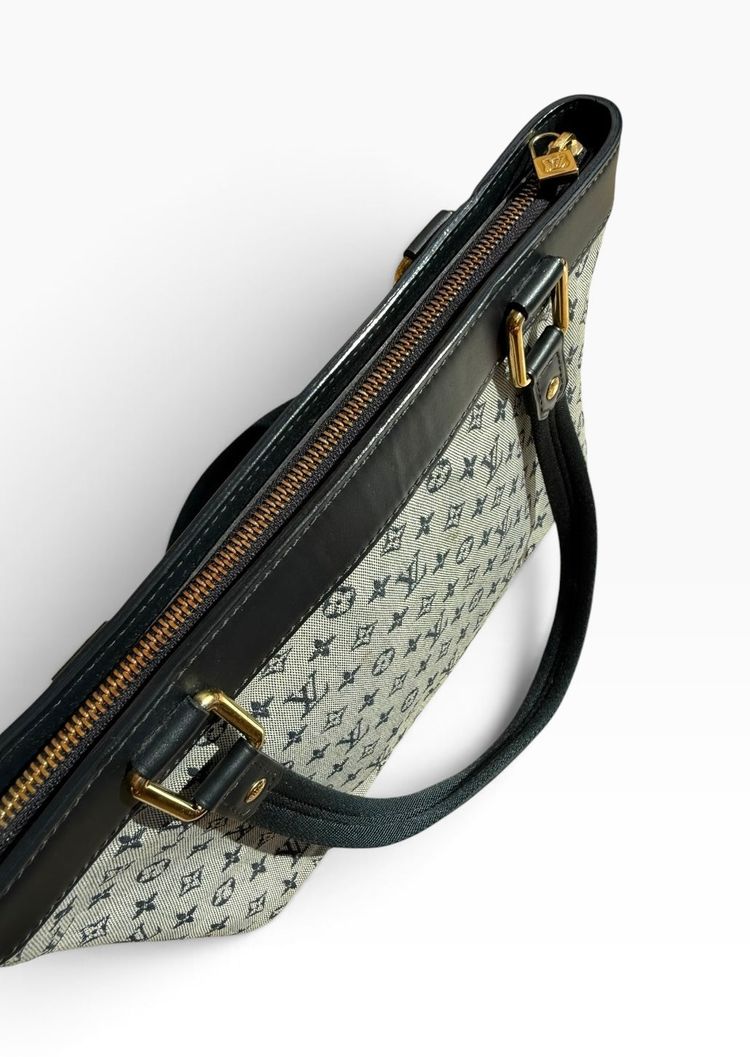 Louis Vuitton Mini Lin Lucille PM Bag image 14