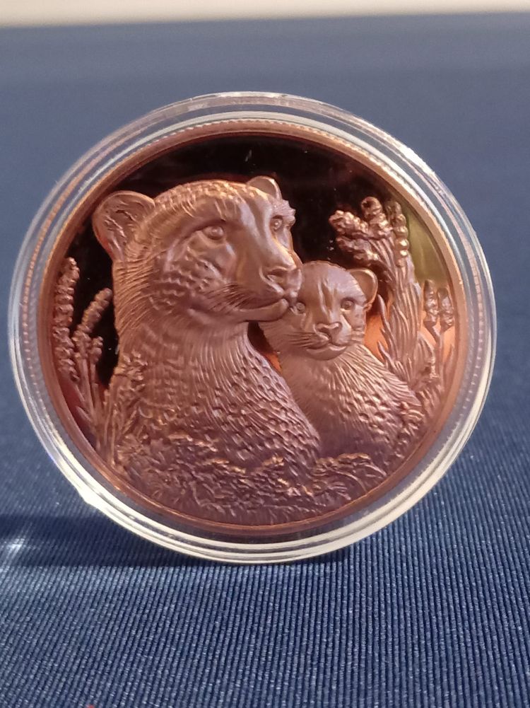 3D Copper Coin With Cheetah Design