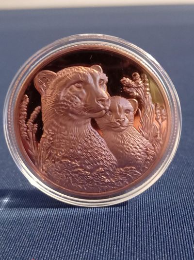 3D Copper Coin With Cheetah Design