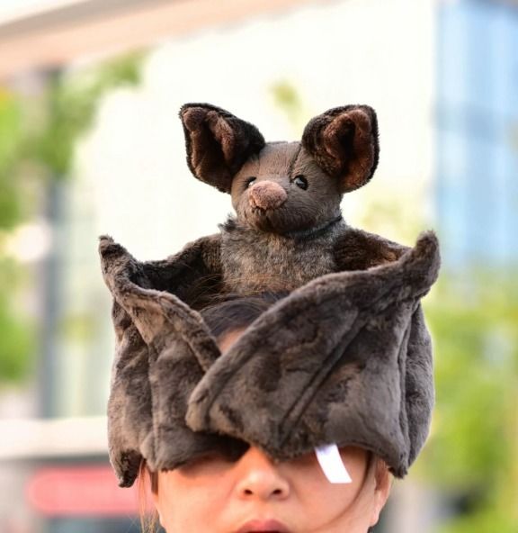 Plush Bat Hat 4