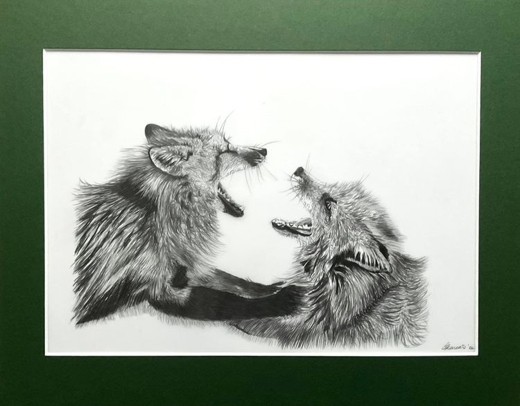 Limted Edition Prints