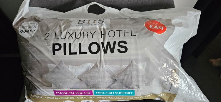 2 Luxury Hotel Pillows