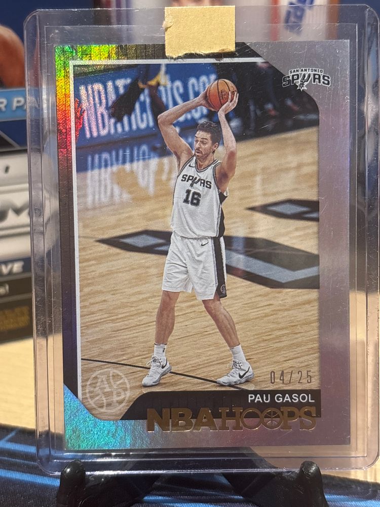 Pau Gasol /25