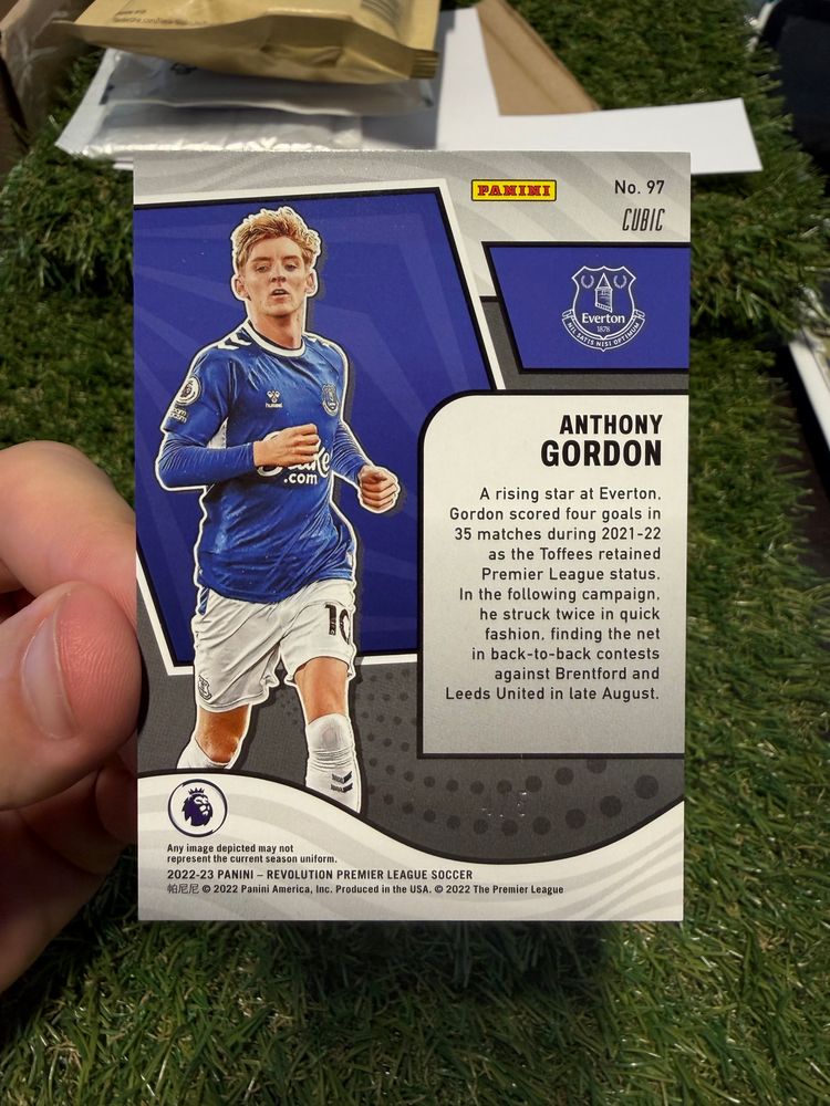 Panini Panini Premier League Soccer Trading Card product image