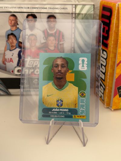 João Pedro Panini World Cup