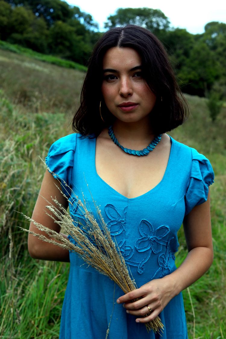 Unknown Blue Floral Embroidered Dress product image