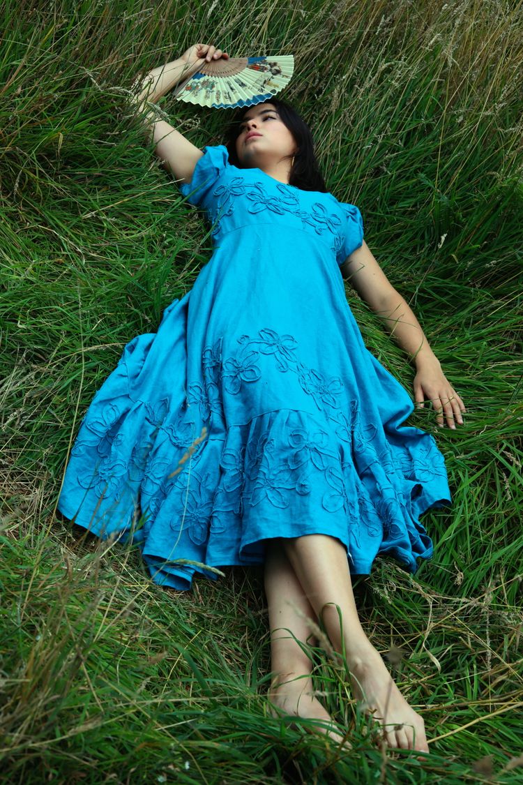 Blue Floral Embroidered Dress 3