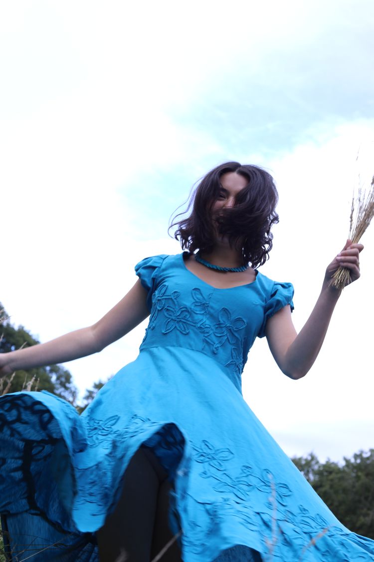 Blue Floral Embroidered Dress 2