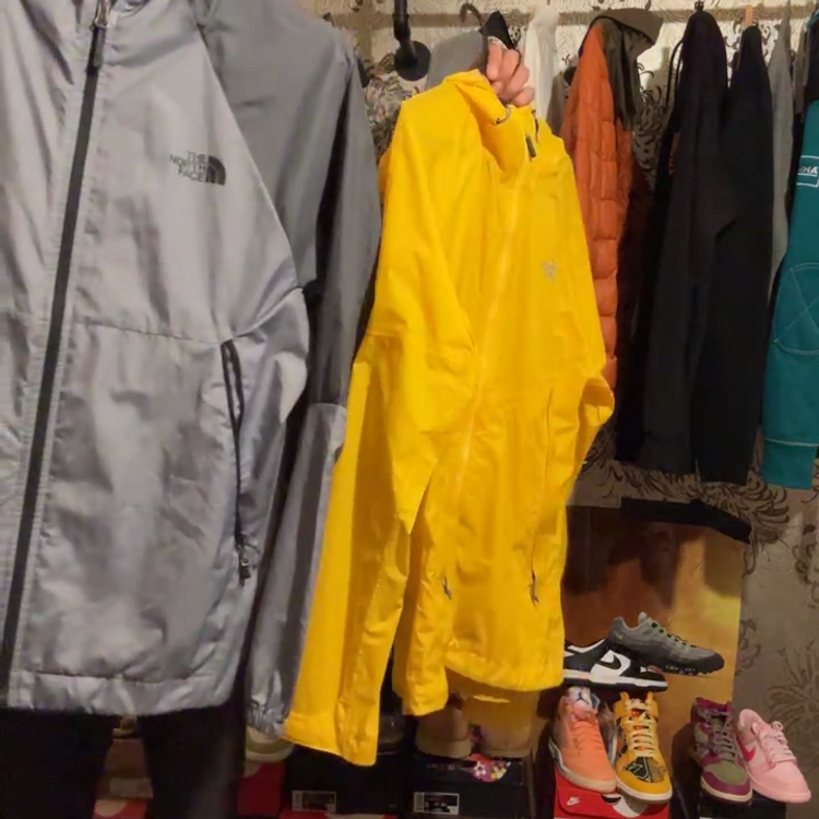 The North Face north face windbreaker  product image