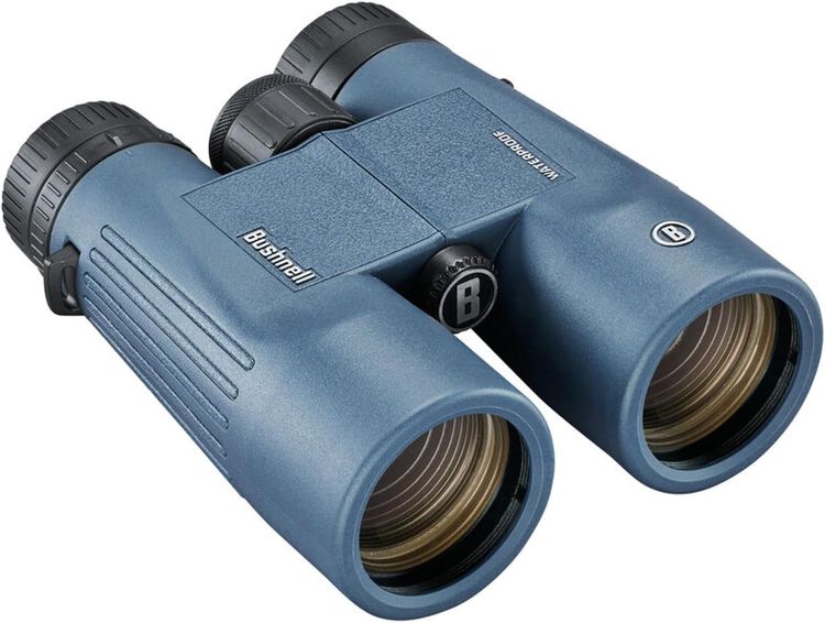 Blue Binoculars