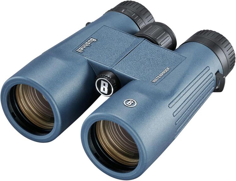 Blue Binoculars 2
