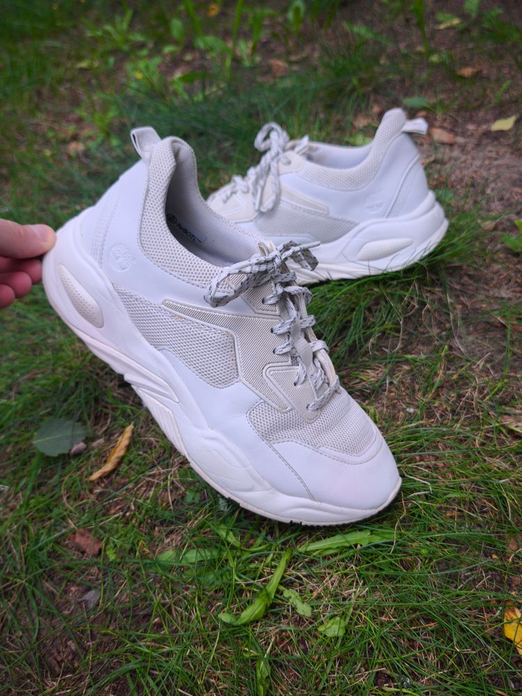 Timberland White Sneakers