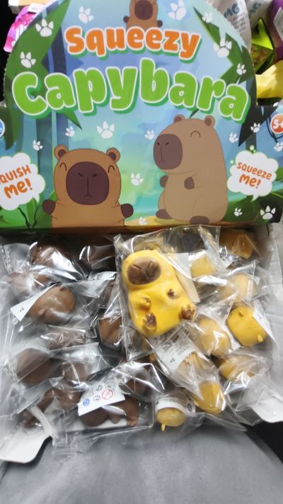 Squeezy Capybara Toy