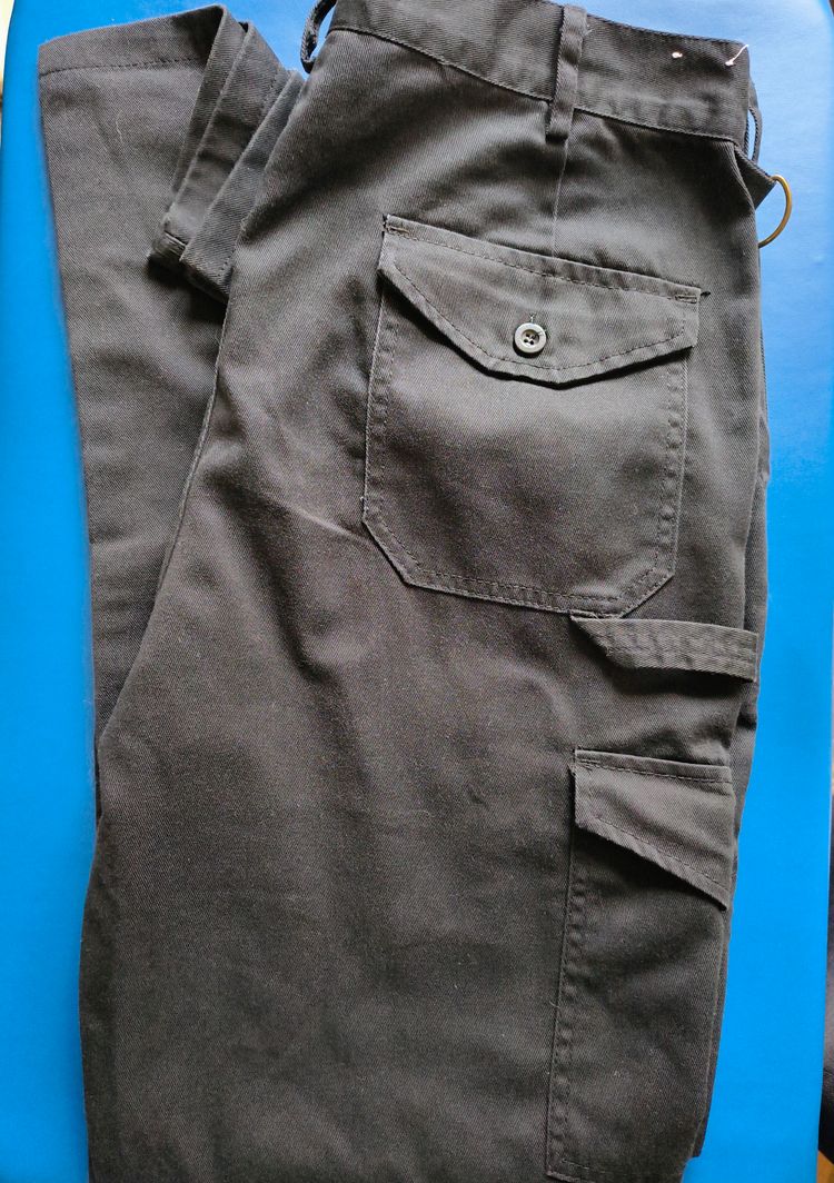 Dickies pants  obraz 7