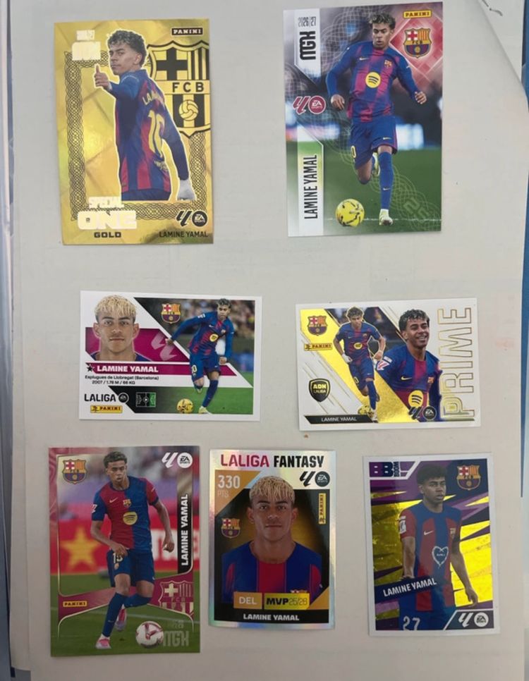 Panini Football Trading Cards product image