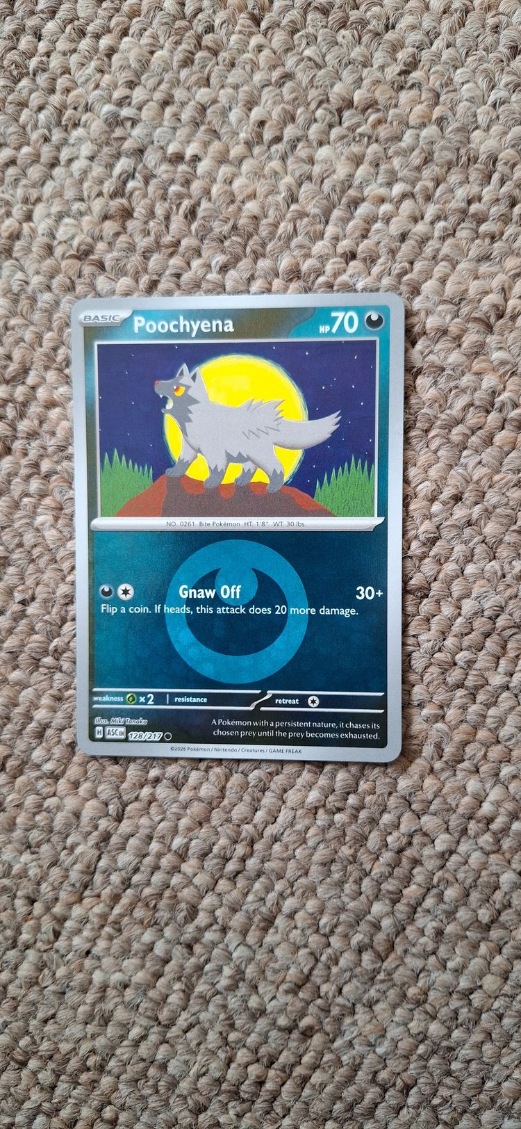 Poochyena Pokémon Card