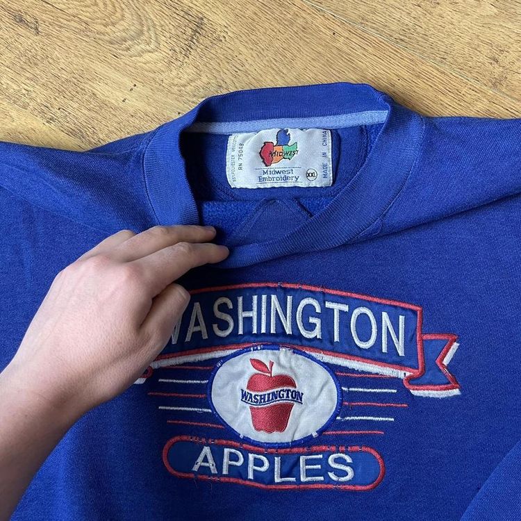 American Vintage x Washington Apples Graphic Sweatshirt image 4