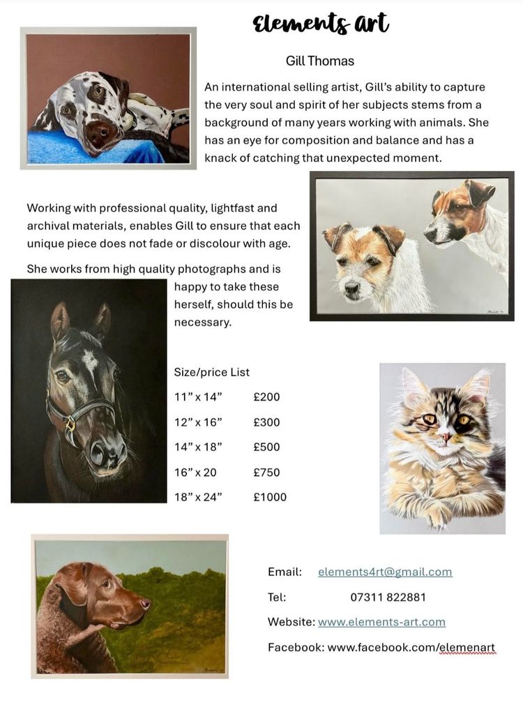 Animal Art Commissions
