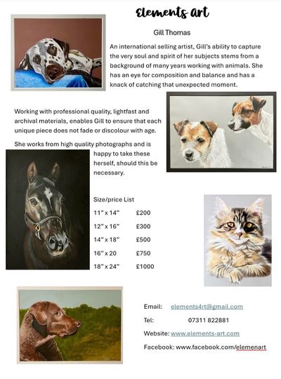 Animal Art Commissions