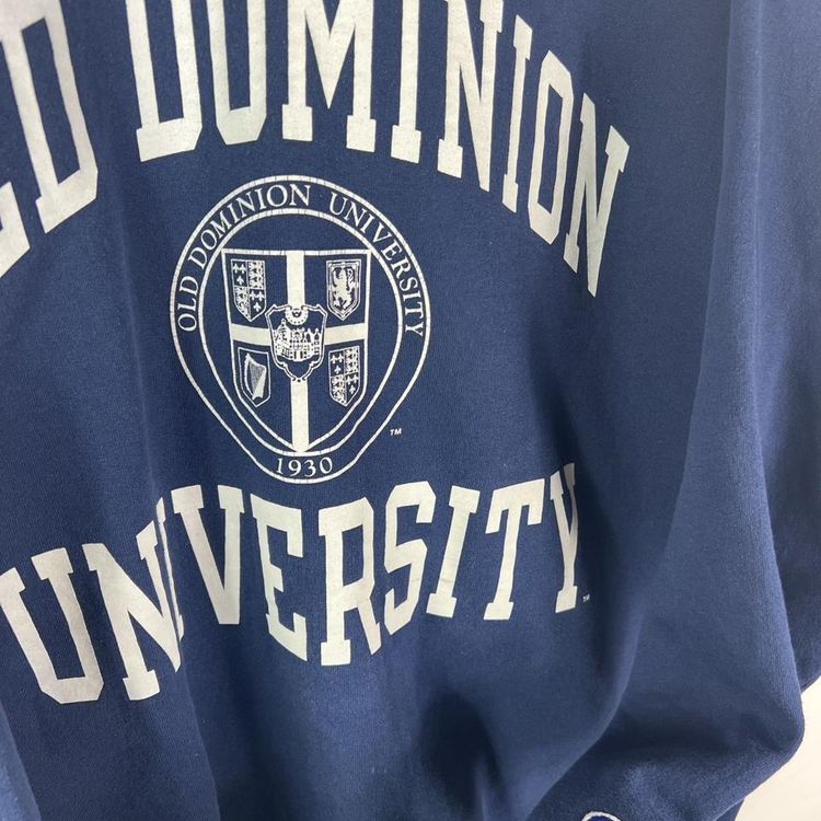 Champion usa print sweatshirt 2
