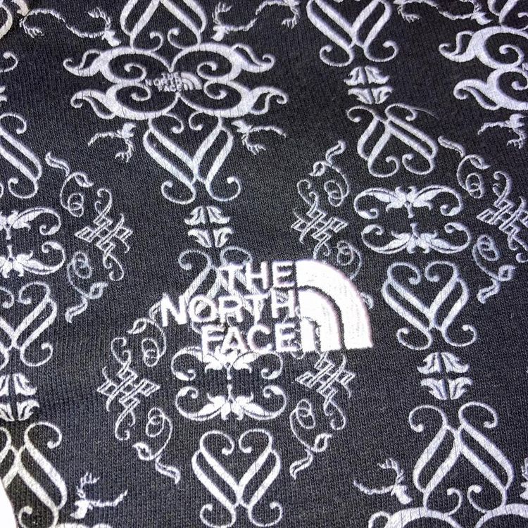 North face hoodie 3