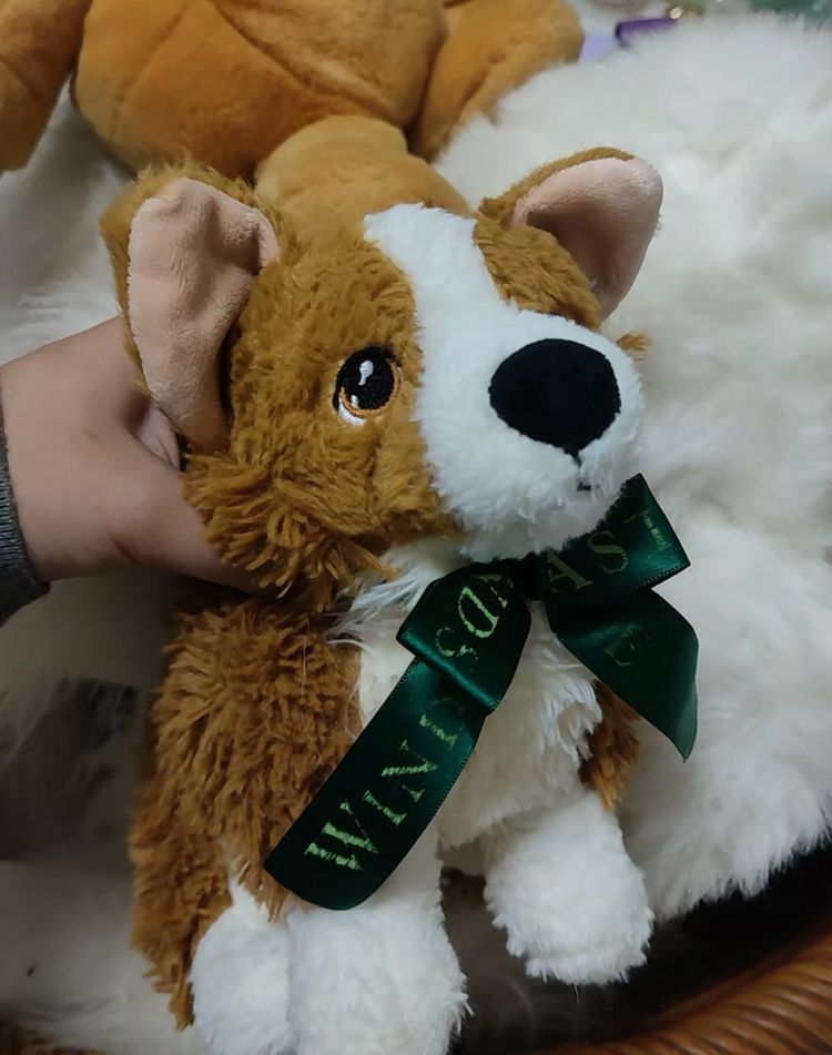 Other Plush Dog Toy With Green Ribbon product image
