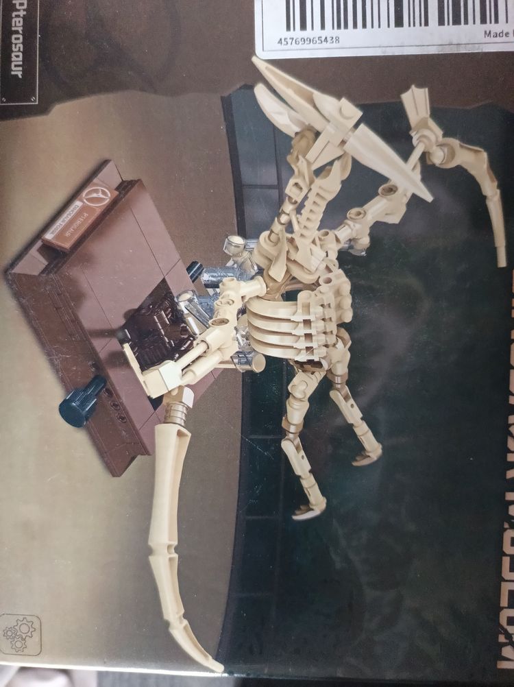 Dinosaur museum brick set - Pterosaur 
