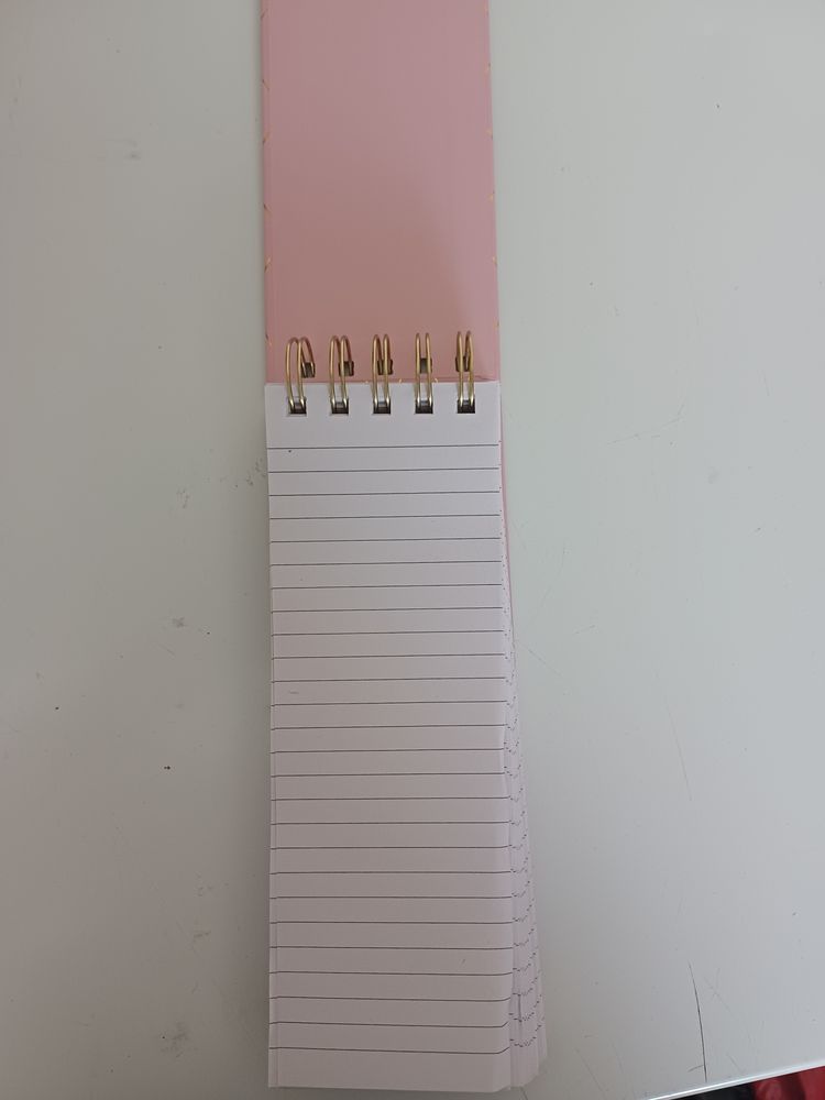 Pink Spiral Notepad 2