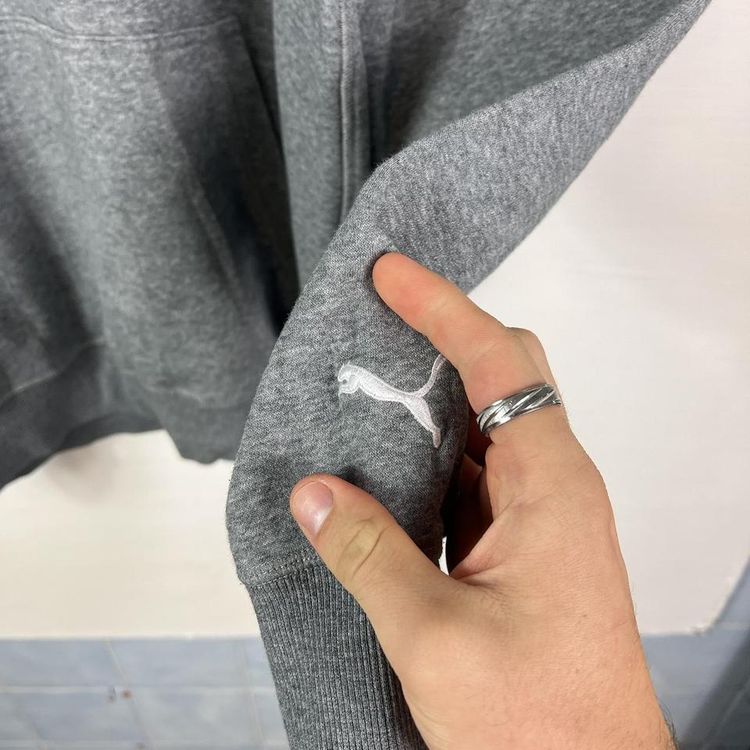 Puma Spellout hoodie grey image 3