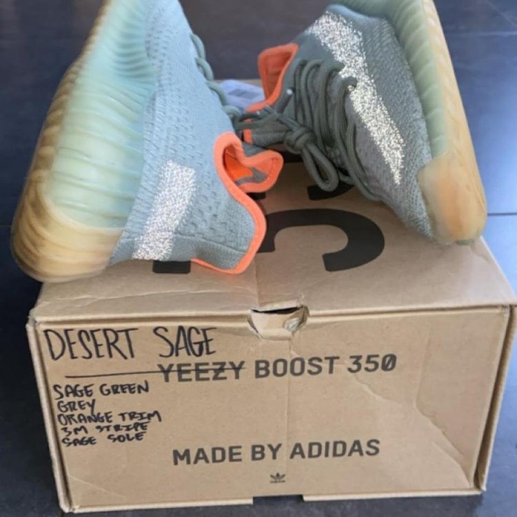 - Adidas Yeezy Boost 350 V2 Desert Sage image 6