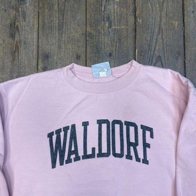 Champion Sweatshirt Spellout Y2K Sports Jumper, Pink, Womens XL 2