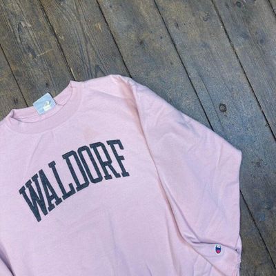 Champion Sweatshirt Spellout Y2K Sports Jumper, Pink, Womens XL 3
