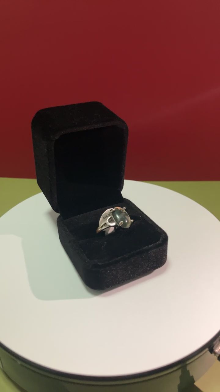 Ring image 1