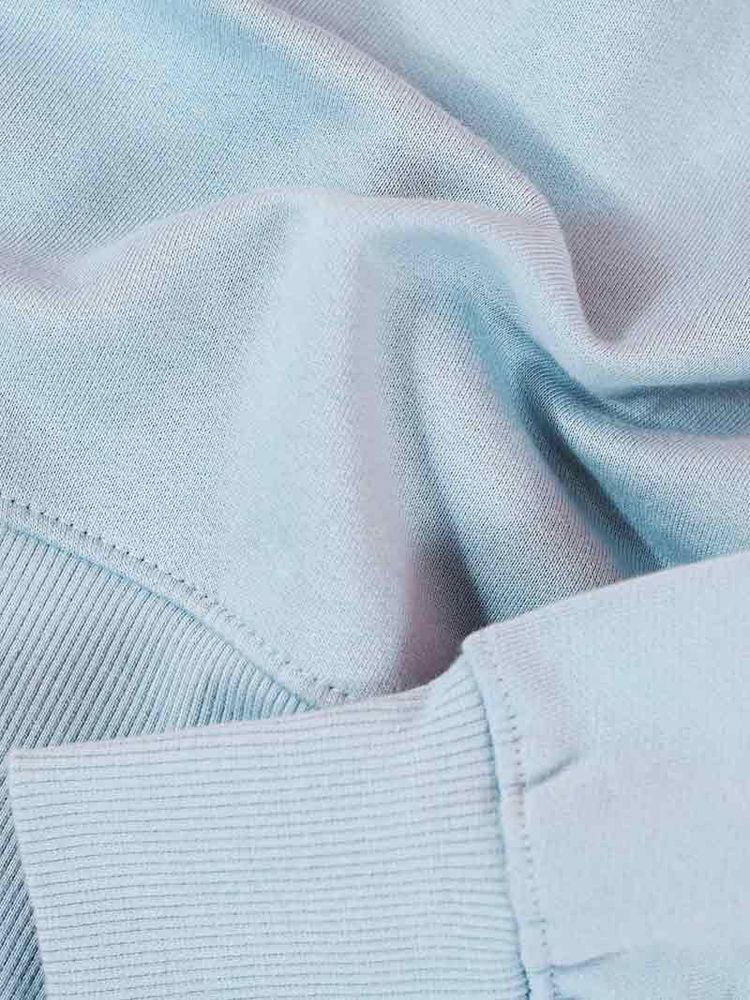 Disco Cult Embroidered Mens Sweatshirt, Organic Cotton, in Light Blue imagen 6