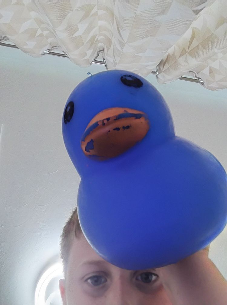 Other Blue squishy sunny days Duck squishy product image