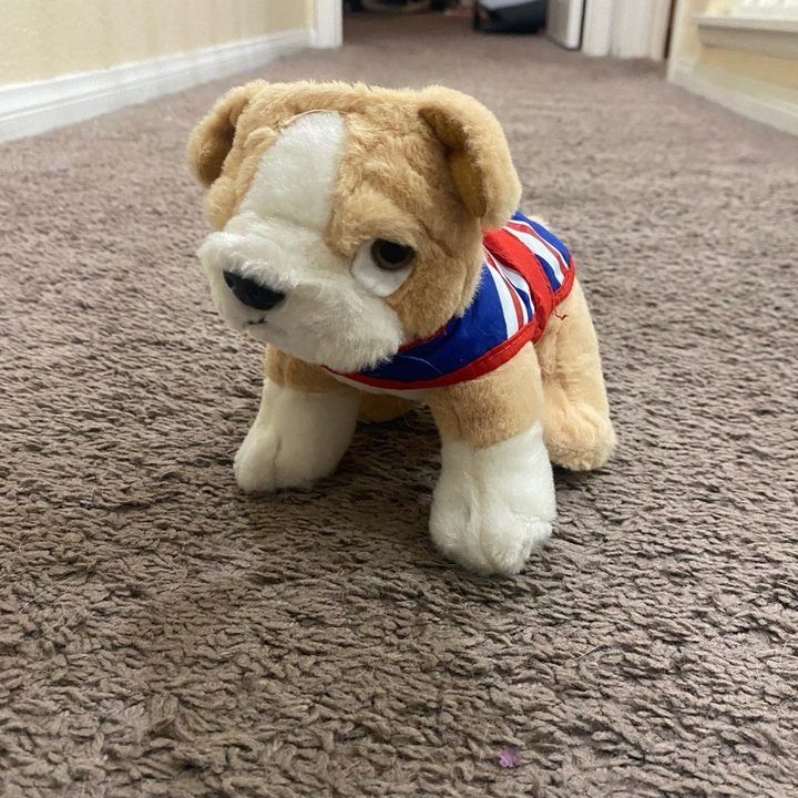 Plush Dog Toy With Union Jack Jacket imagen 1