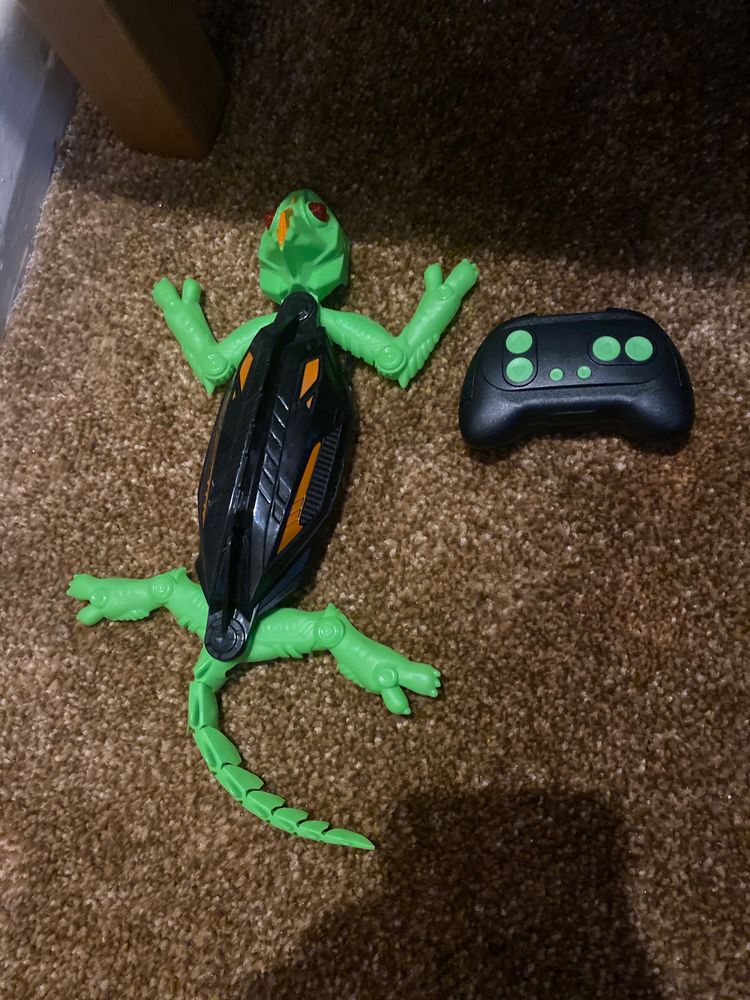 Other Remote Control Lizard Toy product image